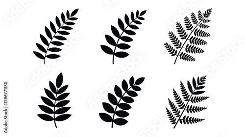 Collection of black leaf silhouettes: diverse botanical illustrations of plant foliage and fern fronds, perfect for natural and organic design elements.