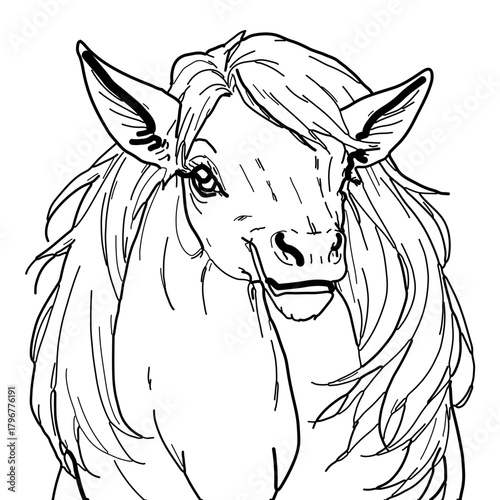 Minimalist detailed line drawing of a horse head with flowing mane and expressive eyes in black and white style vector