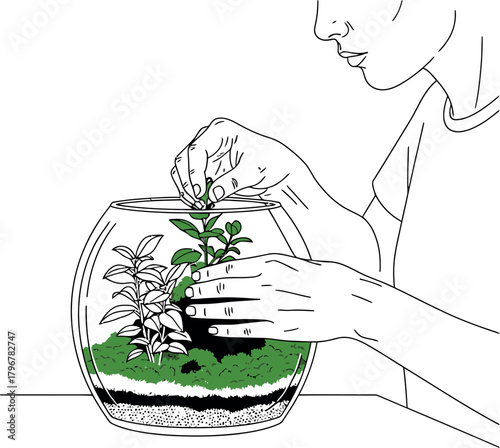 Hands Planting a Terrarium Line Art Illustration