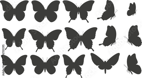 Collection of silhouetted butterfly wings in various poses and angles on a white background