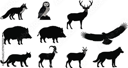 Collection of silhouettes of wild forest animals including fox deer boar owl eagle and wolf