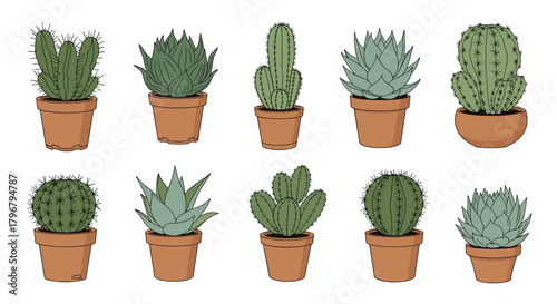 A collection of ten potted cacti and succulents in terracotta pots, arranged in a grid pattern, showcasing diverse shapes and textures of desert plants.