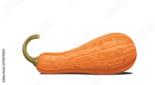 A vibrant illustration of a butternut squash, showcasing its elongated shape and warm orange hue, perfect for autumn or harvest themes.