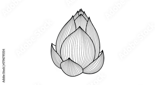 Detailed black and white line drawing of an artichoke, showcasing its layered petals and organic form, perfect for botanical illustrations or culinary designs.