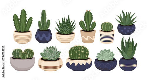 A charming collection of potted cacti and succulents in decorative containers, showcasing a variety of shapes, sizes, and textures, perfect for botanical illustrations or desert-themed designs.
