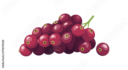 A vibrant cluster of ripe, dark red grapes with a single grape detached, showcasing a healthy and delicious fruit harvest for snacking or winemaking.