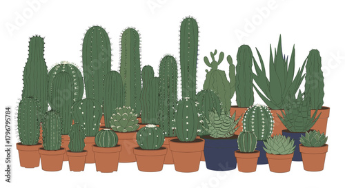 A vibrant collection of potted cacti and succulents arranged together, showcasing a variety of shapes, sizes, and textures in a botanical display.