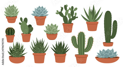 A colorful collection of potted cacti and succulents arranged in a decorative display, showcasing various shapes and textures of desert plants.