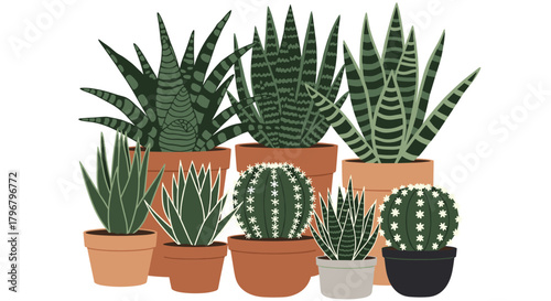 A collection of potted succulents and cacti in terracotta and neutral-toned pots, arranged in a decorative indoor plant display, showcasing various textures and forms.