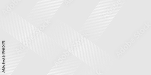Gray minimal colour abstract background with white visable geometric lines and dynamic shapes composition design background vector illustration eps10. Perfect for modern projects basktop wallpaper.