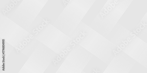 Gray minimal colour abstract background with white visable geometric lines and dynamic shapes composition design background vector illustration eps10. Perfect for modern projects basktop wallpaper.