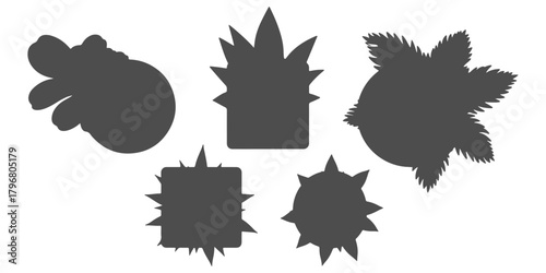 CAD Drawings. Top view of large decorative silhouette plants in pots. Vector illustration.