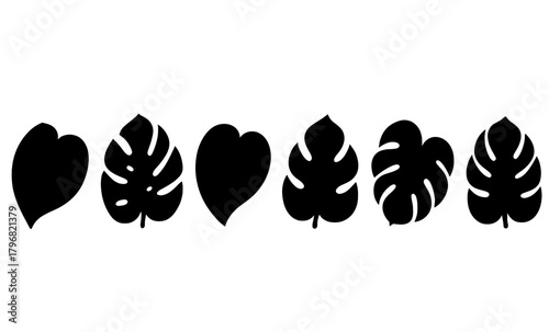 Decorative black leaf silhouettes lined up on a white background for artistic design purposes