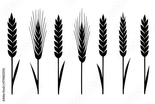Multiple designs of wheat stalks arranged in a row showcasing different growth stages and patterns in black silhouette style