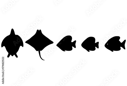 Silhouettes of marine animals swimming gracefully underwater in a calm ocean setting during daylight hours