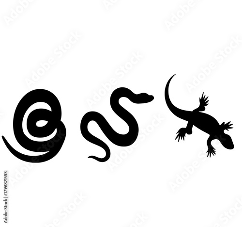 Creepy crawlies and slithering reptiles showcase diverse wildlife in a simple design