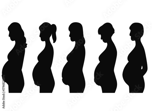Series of silhouettes showing stages of pregnancy in a simple and clear design
