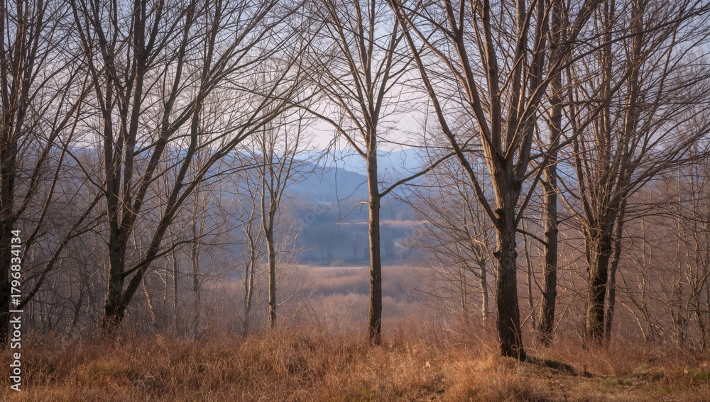 Fototapeta premium Trees Shedding Leaves in Spring, seasonal change