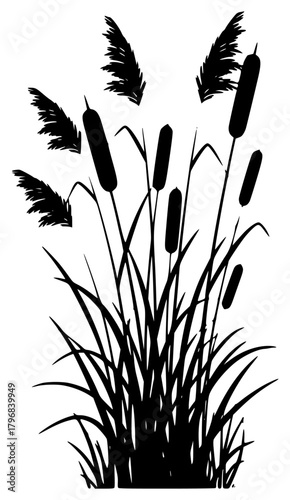 A black and white silhouette of reeds with cattails, black, blade, blow, grass, illustration, plant, profile, reed, weed, wind, against transparent background