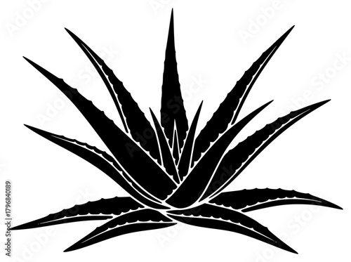 A black and white silhouette of an agave plant, aloe vera, black, illustration, plant, weed, white, against transparent background