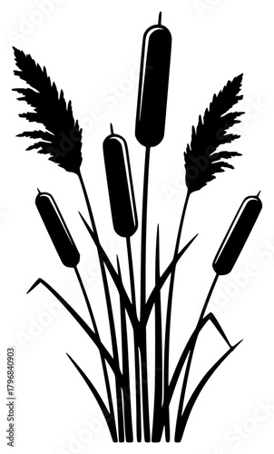 A black and white silhouette of reeds on a , black, brush, grass, illustration, plant, profile, reed, stem, swamp, weed, against transparent background