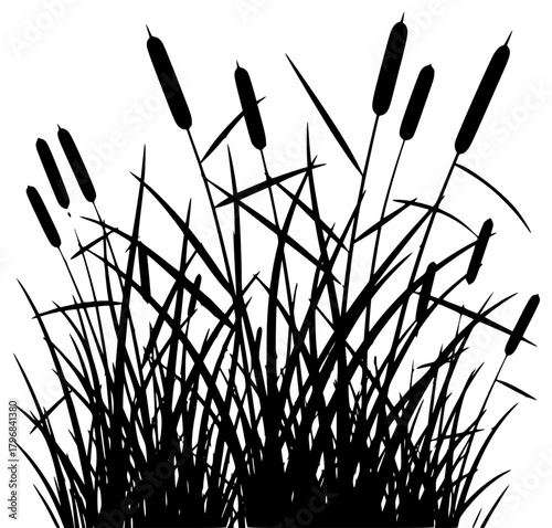 A black and white silhouette of reeds against a , black, blade, brush, grass, illustration, plant, profile, reed, stem, weed, against transparent background