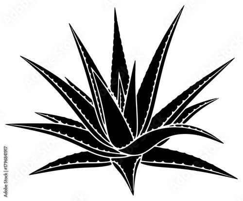 A black and white silhouette of an agave plant, aloe vera, black, illustration, plant, star, weed, white, against transparent background