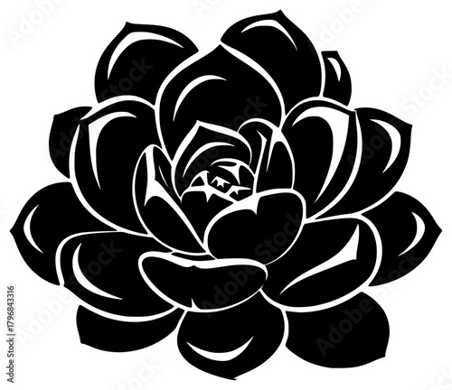 A black and white stylized succulent flower, black, flower, illustration, lotus, petal, profile, rose, succulent, white, against transparent background