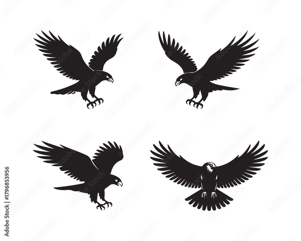 Obraz premium hawk silhouette, hawk vector, hawk collection, hawk set, bird of prey silhouette, flying hawk, hunting hawk, soaring hawk, majestic hawk design, forest hawk silhouette, sky hunter hawk vector