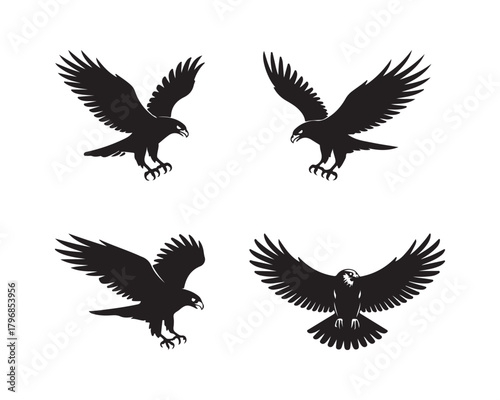 hawk silhouette, hawk vector, hawk collection, hawk set, bird of prey silhouette, flying hawk, hunting hawk, soaring hawk, majestic hawk design, forest hawk silhouette, sky hunter hawk vector