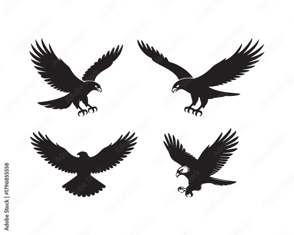 Obraz premium hawk silhouette, hawk vector, hawk collection, hawk set, bird of prey silhouette, flying hawk, hunting hawk, soaring hawk, majestic hawk design, forest hawk silhouette, sky hunter hawk vector