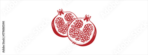 Pomegranate Vector Illustration – Botanical Fruit Clipart for Culinary Packaging Natural Design Projects