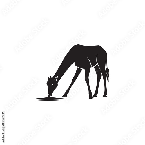 Giraffe Silhouette Drinking Water From A Puddle