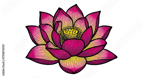 Vibrant Hand-Drawn Lotus Flower Illustration | Pink and Yellow Vector Art