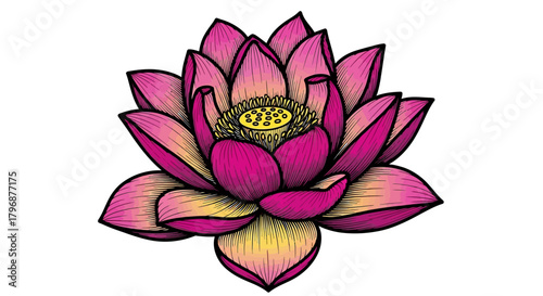 Vibrant Hand-Drawn Lotus Flower Illustration | Pink and Yellow Vector Art