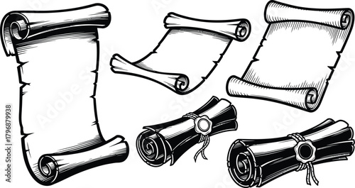 Vintage scroll paper, old scroll vector. 