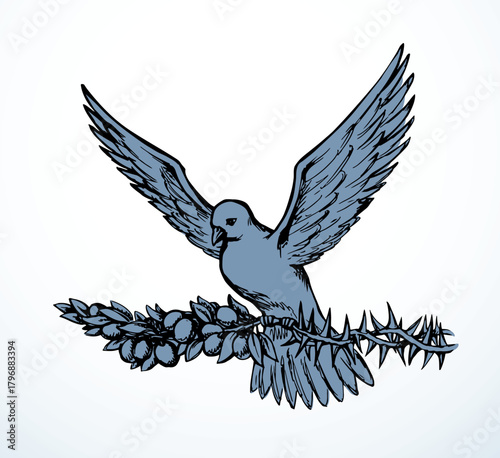 Vector drawing. Dove on the thorn branch