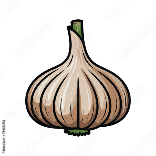 Handdrawn garlic, a flavorful and aromatic ingredient, perfect for adding a touch of culinary charm to your designs and recipes