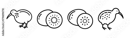 Whimsical sketch of two kiwi birds and two sliced kiwifruits in a simple row