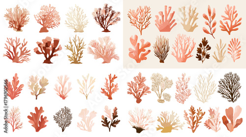 Coral reef illustrations in warm red and peach palettes with varied branching forms. Underwater watercolor clipart for tropical marine designs and conservation themes.