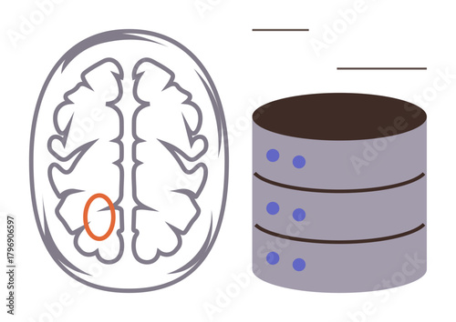 Brain structure with highlighted area next to stacked database symbol. Ideal for science, research, artificial intelligence, neuroscience, memory, data analysis, and innovation concepts in a simple