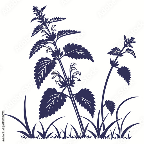 yellow archangel with leaves