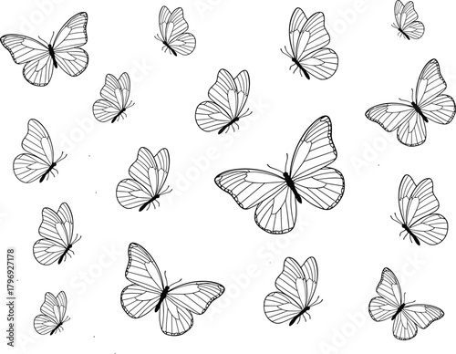 Mega Set of Hand Drawn Butterfly Doodle Outline Icons Vector Illustration