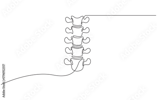 Continuous one line drawing of human spine, single line art vector illustration, Editable stroke isolated on transparent background.