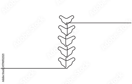 Continuous one line drawing of human spine, single line art vector illustration, Editable stroke isolated on transparent background.