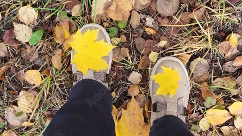 Feet in light-colored shoes walk along a path strewn with dry, fallen leaves