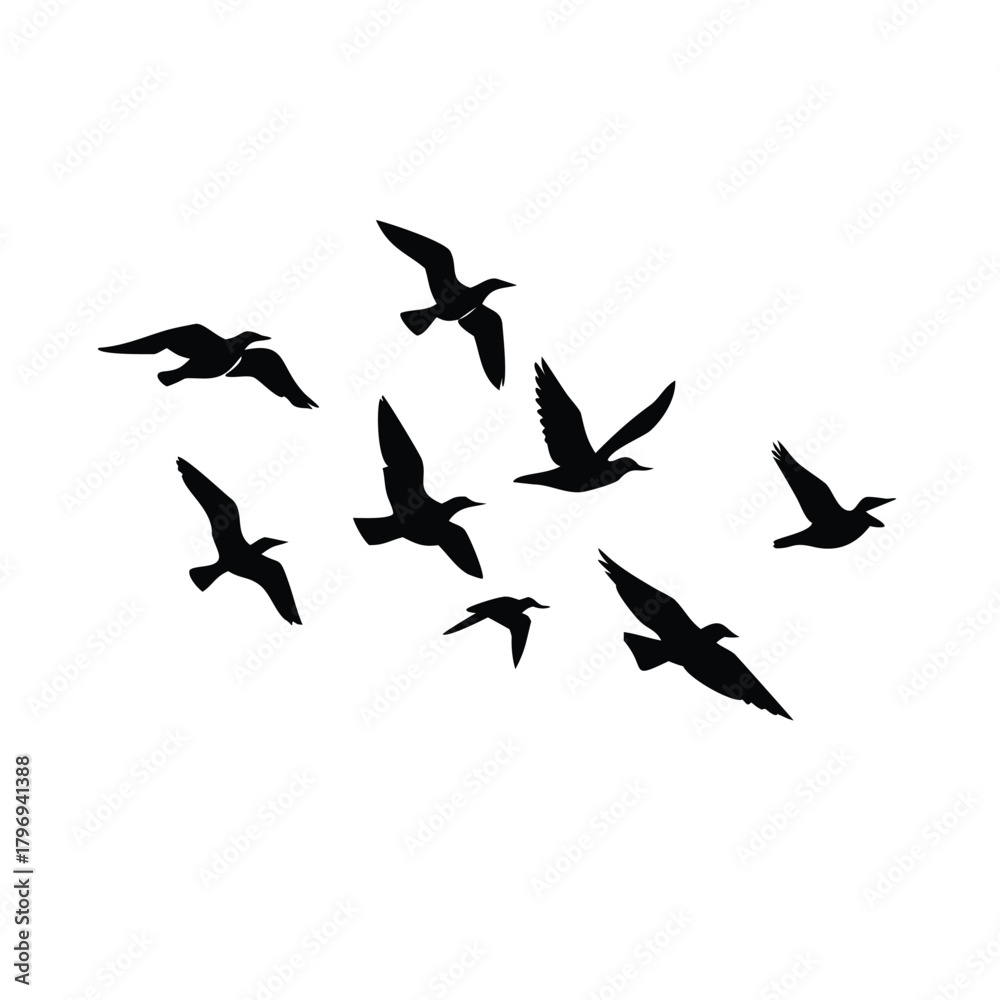 Fototapeta premium Silhouette of birds flying in formation against white background
