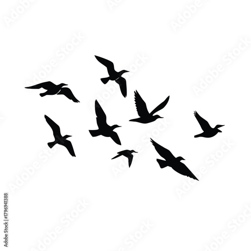 Silhouette of birds flying in formation against white background