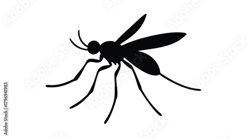 Silhouette of three musicians performing with instruments art