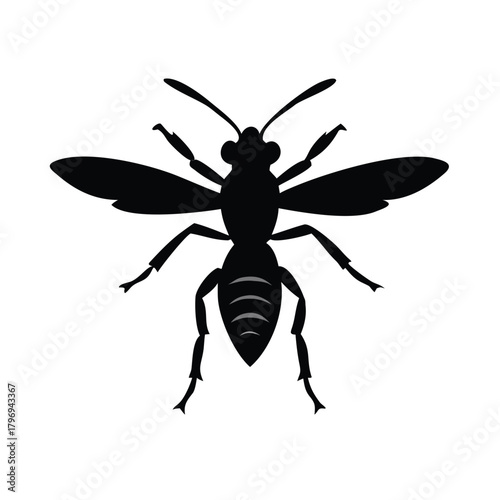A silhouette illustration of a wasp against a white background, mosquito icon 